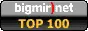 bigmir)net TOP 100