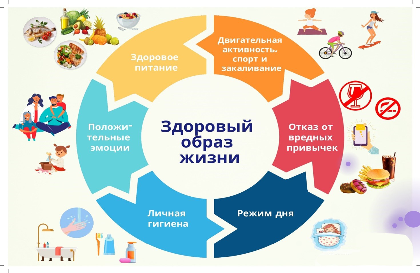 10 принципов здорового образа жизни