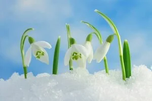 В Киев "возвращается" зима: синоптики предупредили о снеге и похолодании