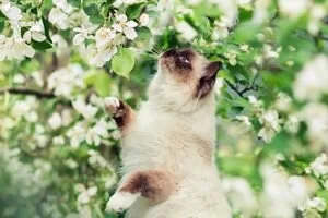 Март вошел в десятку самых теплых в Киеве за 139 лет