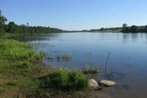 Под Киевом нашли труп мужчины со связанными скотчем руками