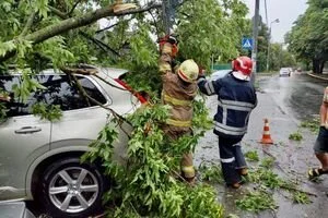 Ливень и шквальный ветер: под Киевом погиб человек