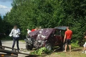 Слетел в кювет и врезался в дерево: на Закарпатье в ДТП погиб пенсионер