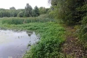 Застрял в болоте: под Сумами полицейские два дня искали пенсионера