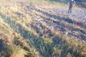 В Житомирской области пенсионер подорвался на боеприпасе времен Второй мировой войны