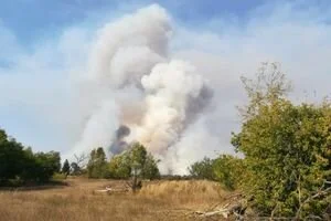 В Чернобыльской зоне начались масштабные пожары: фото