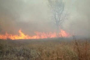 Под Харьковом временно закрыли школу и детсады из-за пожара на военном полигоне