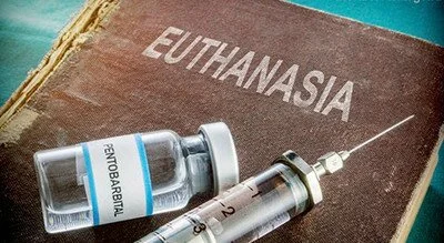 В Слуге народа заговорили о легализации эвтаназии