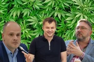 Рынок марихуаны от команды Зе. Кому может быть выгодна декриминализация "травки"