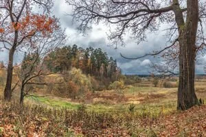 Тепло, но с дождями и снегом: синоптики уточнили погоду на последний день осени 