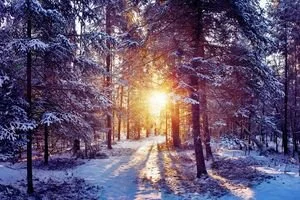 Штормовое предупреждение и гололед: синоптики рассказали какая будет погода в последний день года