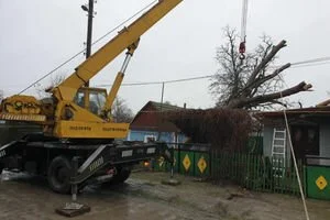 На Николаев обрушилась снежная буря: фото поваленных деревьев и разбитых авто