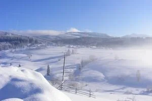 В Карпатах началась снежная буря: впечатляющее видео