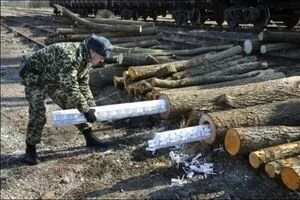 Кабмин создаст мобильные группы для борьбы с контрабандой на таможне