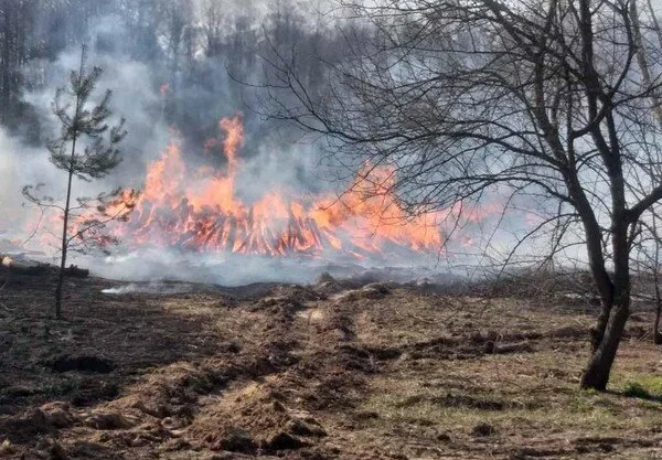 Из-за ветра в Чернобыльской зоне отчуждения снова вспыхнул пожар