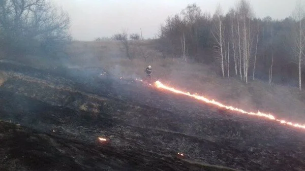 В Кабмине планируют повысить размер штрафа для поджигателей сухой травы