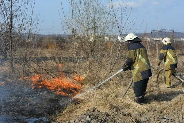 Рада одобрила законопроект, значительно повышающий штрафы за разведение пожаров