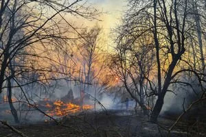 В Чернобыльскую зону стянули полсотни спасателей: есть ли новые пожары (обновлено)