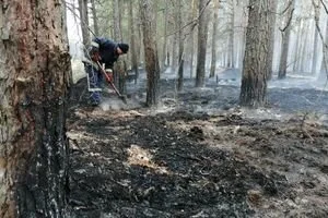 Пожары в Чернобыльской зоне: спасатели сообщили оперативную сводку на утро 16 апреля