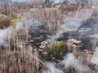 Пожары в Украине: спасатели создали резерв сил и доложили Зеленскому об обстановке