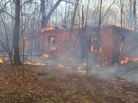 Аваков назвал вероятные причины масштабных пожаров в Житомирской области