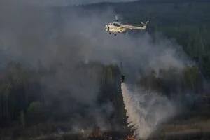 В сети опубликовано видео ужасных последствий масштабных пожаров в Чернобыльской зоне