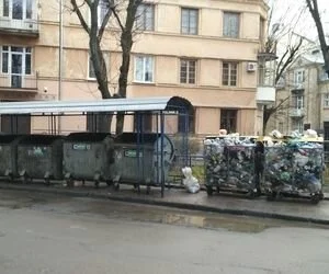 Во Львове могут объявить чрезвычайную экологическую ситуацию из-за мусора