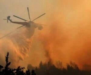 В Чернобыле загорелся лес: площадь пожара увеличивается