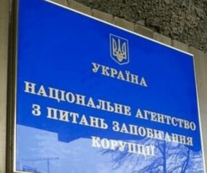 НАПК поручило Радецкому проверить почти 30 деклараций за два месяца