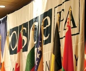ПА ОБСЕ поддержала украинский проект резолюции о восстановлении суверенитета Украины