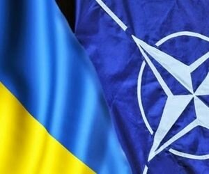 Совет НАТО едет в Украину: стали известны цели визита