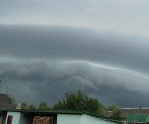 В Волынской области более 30 сел остались без света из-за непогоды