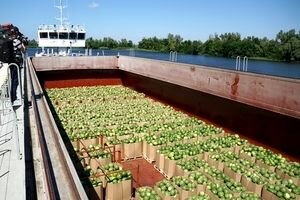 Ко Дню Независимости в Киев отправят еще одну баржу с арбузами