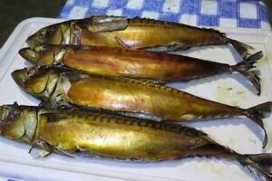 Стала известна причина массового отравления во Львове