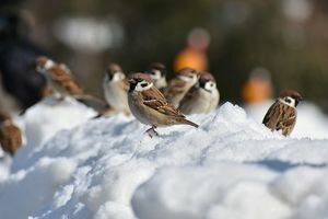 Синоптики рассказали, какая погода будет в Киеве во вторник