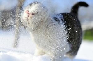 В Украине с пятницы ожидается резкое похолодание