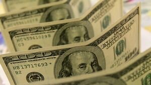 Рева назвал Украину "наркоманом, подсевшим на иглу МВФ"