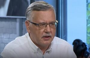 Гриценко объяснил, почему МВФ медлит с предоставлением Украине очередного транша