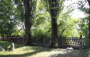 В Кривом Роге возле больницы нашли мертвой 21-летнюю девушку без одежды