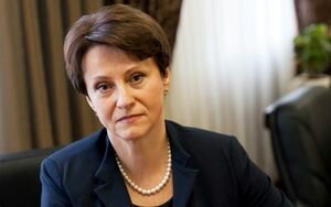 Южанина: Восстановление уголовной ответственности точно не решит проблему контрабанды