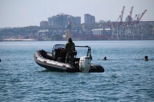 Россия назвала украинско-американские учения "Sea Breeze-2018" попыткой провокации