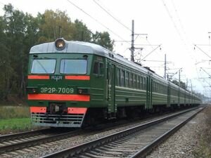 В Николаевской области машинисты насмерть сбили женщину, спрятали тело в пакеты и выбросили в другом месте