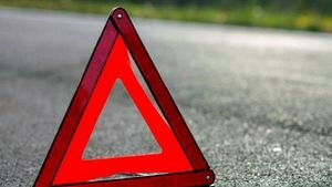 Пьяный депутат столкнулся с автобусом и насмерть сбил велосипедистку во Львовской области
