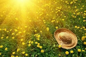 Синоптики рассказали о погоде на последний день лета