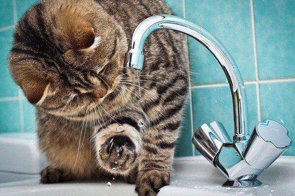 Жители Киева на сутки остались без холодной воды из-за аварии: адреса