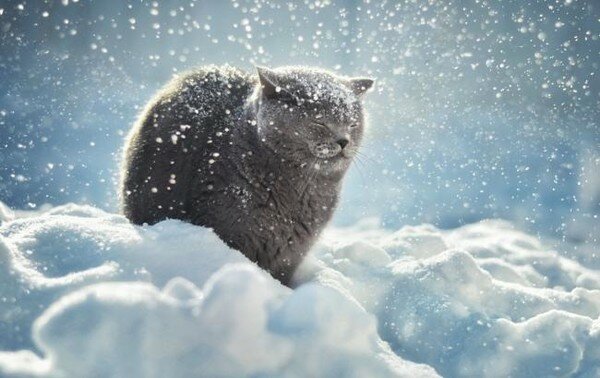 Синоптик рассказал украинцам, какой будет погода зимой