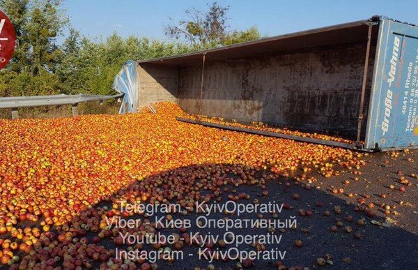 На трассе Киев - Харьков фура "усыпала" дорогу тоннами яблок (фото)