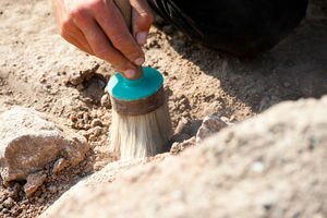 Археологи нашли останки животного возрастом 558 млн лет