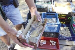 Археологи обнаружили уникальную фреску с изображением Иисуса Христа 