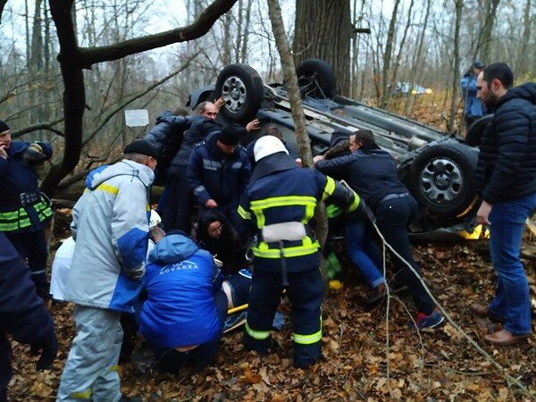 В Чернобыльской зоне Renault сбил оленя: машина перевернулась, а животное погибло (фото и видео)